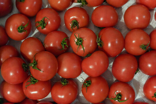 Fresh Red Tomatoes Background, Food Texture and Healthy Ingredient