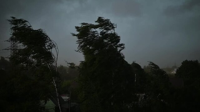Winds pick up as dark clouds gather over trees in an urban setting. The weather shows signs of an approaching storm with swirling branches and an ominous sky