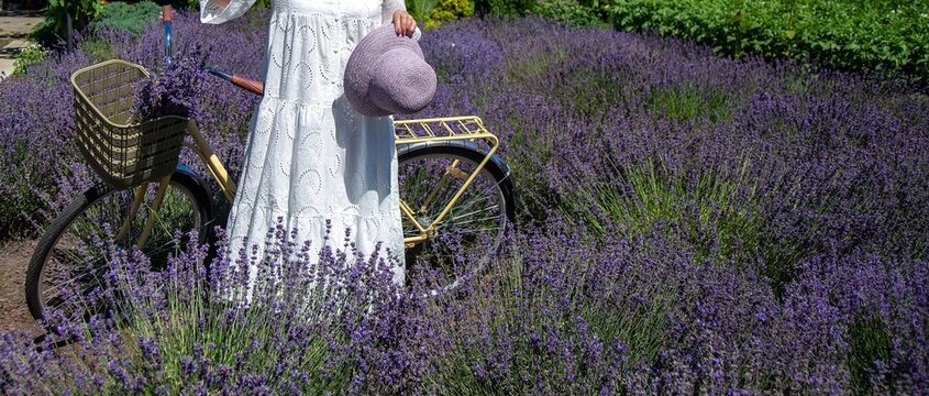 Woman Holding Lavender Bouquet Near Bicycle