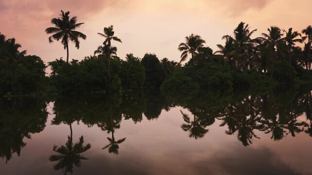 Beautiful boat ride through the serene backwaters of Kochi, Kerala, at sunset, surrounded by coconut palms, calm water, and lush tropical scenery, showcasing the peaceful beauty of South India.