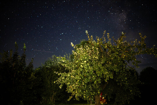 night sky with falling stars in the village
