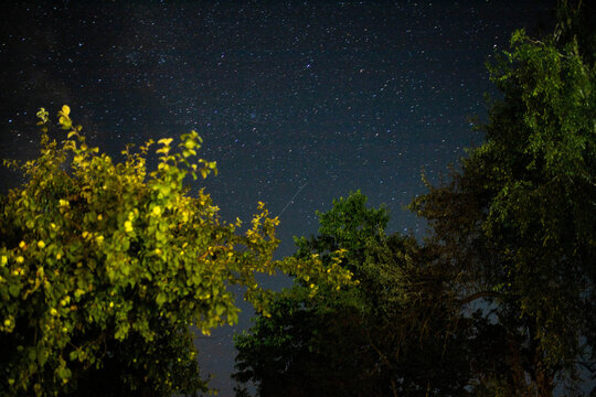 night sky with falling stars in the village