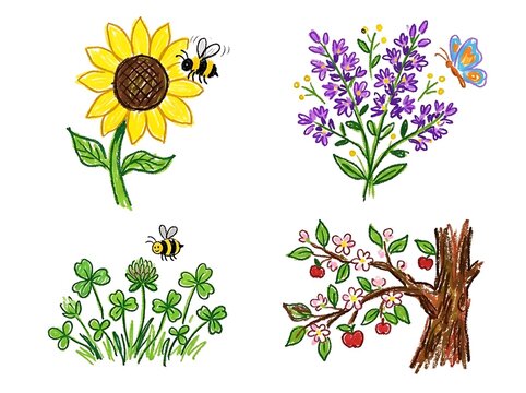 Colorful nature set created with crayon art style