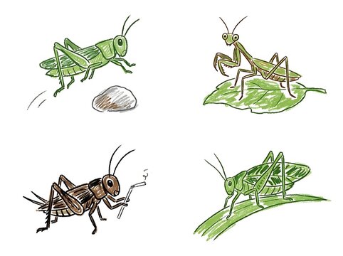 Collection of garden insects and grasshoppers in crayon art