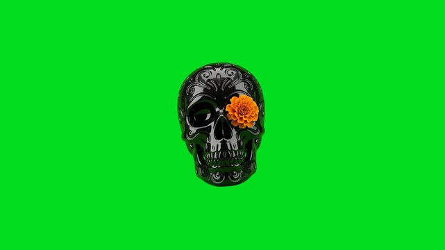 A shiny black skull with an orange marigold flower on a vivid green background