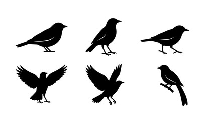 Fototapeta premium Black Bird Silhouette Vector Set Minimal Nature Wildlife Logo Icons