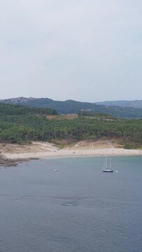 Vertical 9:16 aerial video framing of Praia de Melide in Cangas, Spain, showing a tranquil sandy beach bordered by green pine forest and gentle hills.