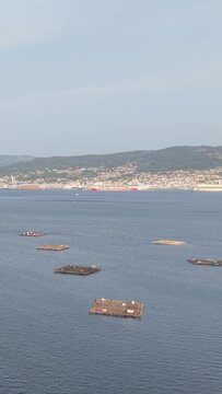 Vertical 9:16 video showing a series of traditional mussel farming rafts floating on calm blue waters near Illa de Tambo, with the coastal town of Combarro and green hills of Galicia.