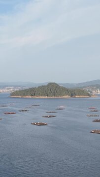 Vertical 9:16 aerial video centered on Illa de Tambo island in the Ria de Pontevedra near Combarro, Spain.