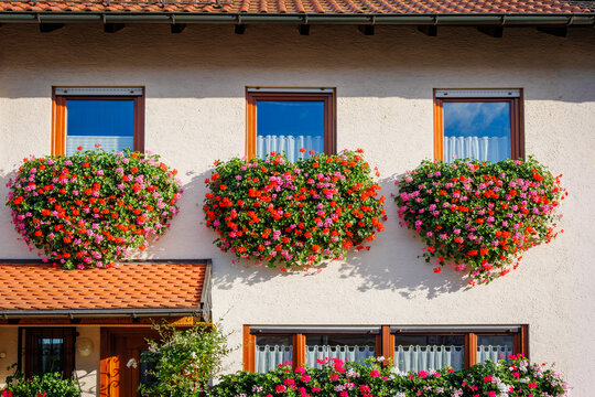 Window boxes full of flowers brighten the front of a house in a sunny setting