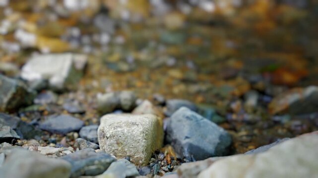 Stones and Pebbles on a Stream Bed