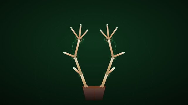 Minimalist wooden deer antlers graphic on dark green background