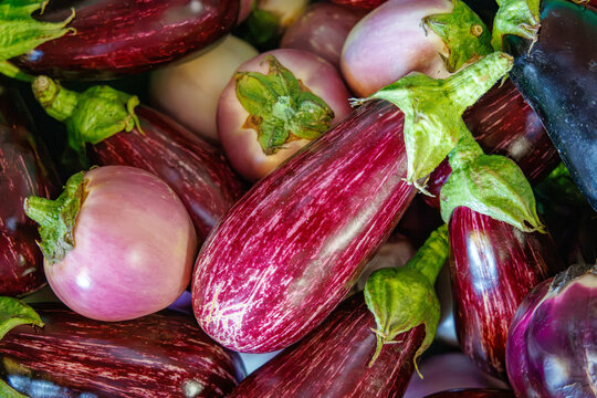 Fresh eggplants on display at a local market in the afternoon sun