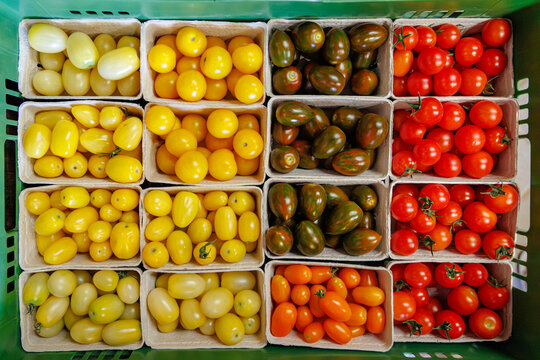 Market display of assorted tomatoes and yellow fruits in green basket