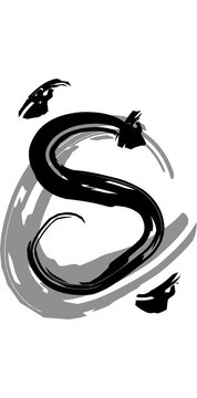 black and white letter "S"