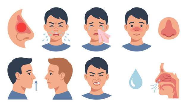 Nasal Allergy and Cold Symptoms Icon Set with Sneezing, Runny Nose, Congestion, and Sinus Inflammation Vectors for Medical and Healthcare Infographics
