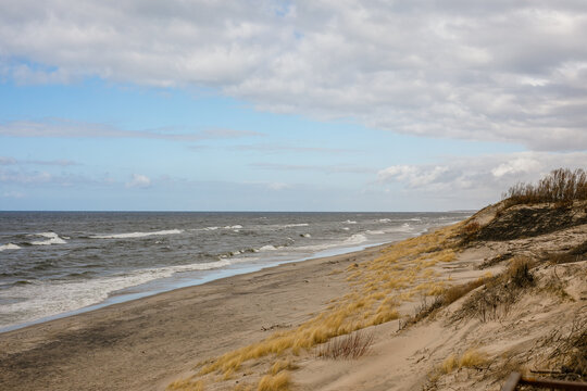 Wide view of sandy baltic beach and coastal dunes in kaliningrad region.