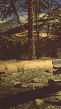 A bench is placed in a forest area with dirt ground and shrubs. Sunlight shines through the trees, casting shadows. The scene shows a natural outdoor setting.