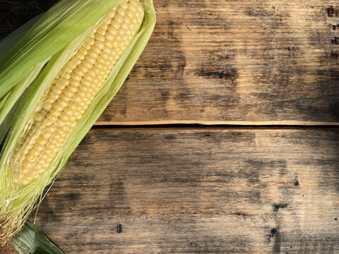 Horizontal flat lay of fresh sweet corn on a rustic wooden background with copy space
