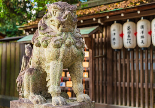 Guardian dog (foo dog) at Imperial Palace of Kyoto (Honshu, Japan)