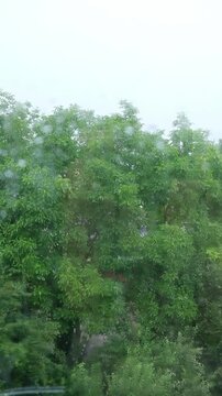 Rain falling on a window with green trees in the background during a cloudy day