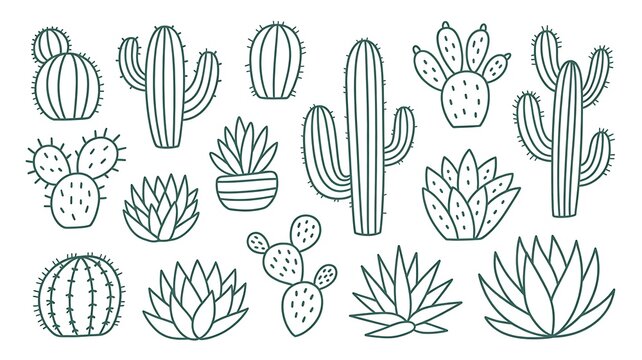 Floral set of isolated outline green vector tropic cactus and succulents elements. Cute botanical hand drawn doodle cacti illustrations for pattern design, logo, coloring book, sticker, tattoo 