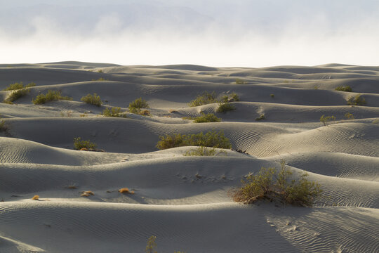 View of the rippled Mesquite Flat Sand Dunes with desert shrubs under a hazy sky in Death Valley, California, United States.