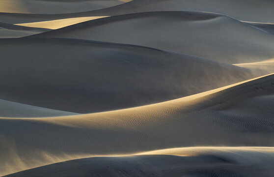 View of Mesquite Flat Sand Dunes with wind-swept ripples and golden light on the crests in Death Valley, California, United States.