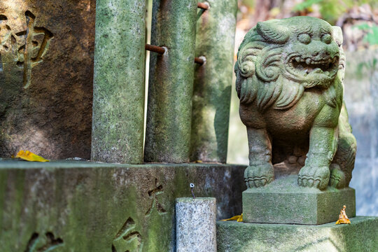 Guardian dog (foo dog) in Kyoto (Honshu, Japan)