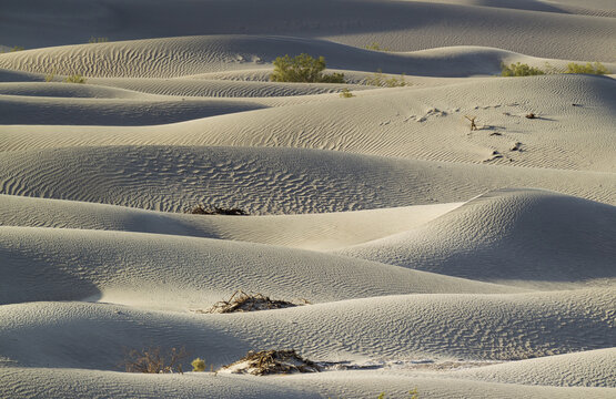 View of Mesquite Flat Sand Dunes with wind-swept patterns, soft shadows, and sparse desert vegetation in Death Valley, California, United States.