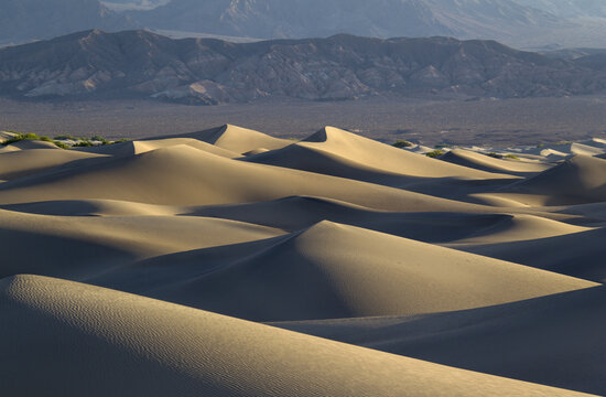 View of Mesquite Flat Sand Dunes with rolling golden sand ridges, soft shadows, and distant mountains under clear light in Death Valley, California, United States.