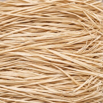 Natural raffia palm fibre in loose overlapping pale strands