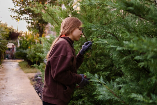 Teenage girl cutting palm leaves during garden maintenance in Montenegro.