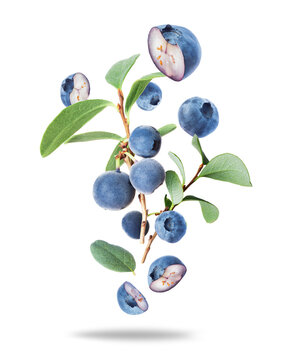 Whole and sliced blueberries with branches close-up on a white background