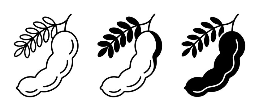 Tamarind Icons, Tropical Fruit Vector Graphics, Fresh Tamarind Pods, Simple Line Art and Silhouette