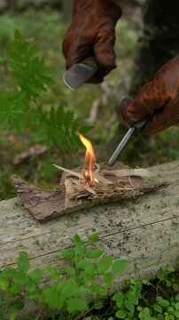 Close up of a man hands in leather gloves using a ferro rod and steel striker to strike sparks and light a fire on tree bark. Concept of bushcraft firecraft, wilderness survival skills, primitive fire