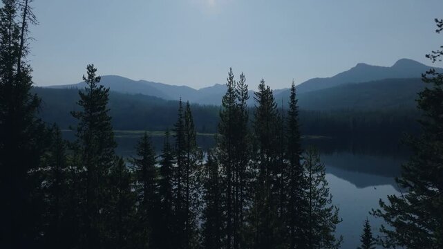 Aerial view of a dense pine forest with a lake visible through the trees in McCall, Idaho, United States.