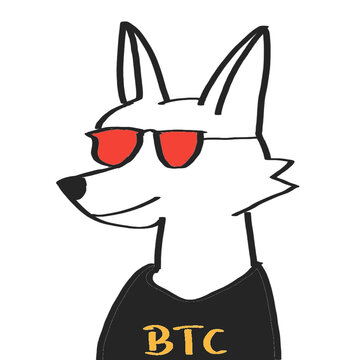 wolf art NFT