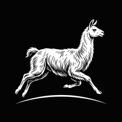 Naklejka premium White llama running silhouette on solid black background