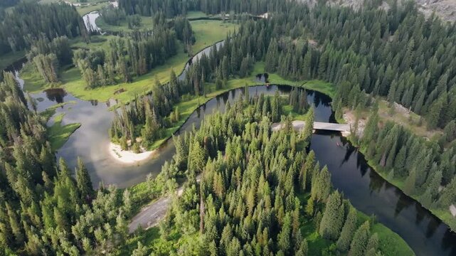 Aerial view of a winding river flowing through a dense pine forest with a small bridge and sandy bank in McCall, Idaho, United States.