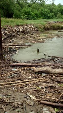 Plastic waste accumulating in mangrove forests and rivers, highlighting marine pollution, overflowing waste. Environmental conservation, plastic reduction, recycling and sustainable future concept.
