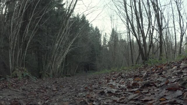 Man Limping Uphill On Wet Winter Forest Path In Low View