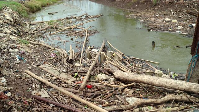 Plastic waste accumulating in mangrove forests and rivers, highlighting marine pollution, overflowing waste. Environmental conservation, plastic reduction, recycling and sustainable future concept.
