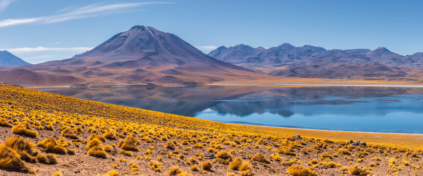 View of Lagunas Miscanti with its calm reflective waters, surrounding volcanic mountains, and golden desert grass in the foreground in San Pedro de Atacama, Antofagasta, Chile.