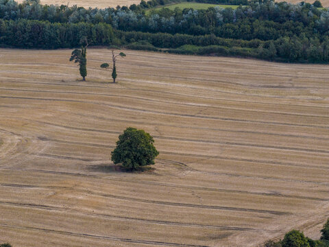 Aerial view of a harvested field with a solitary tree in the center and a line of trees in the background in Drogheda, County Louth, Ireland.