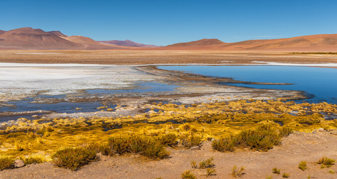 View of Mirador Salar de Loyoques featuring a salt flat lagoon with blue water, surrounded by arid desert mountains and yellow vegetation in San Pedro de Atacama, Antofagasta, Chile.
