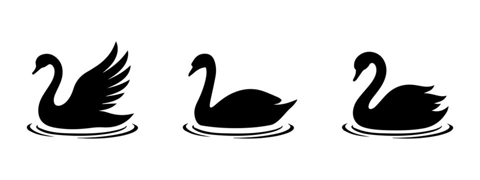 Swan Icon Set with Elegant Swimming Bird Silhouettes and Outline Styles for Nature Wildlife and Water Design