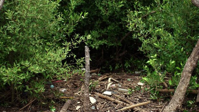 Plastic waste piled up in a forest. Highlighting the global waste crisis and environmental pollution. Waste separation, recycling, plastic reduction, climate change and sustainable living concept.
