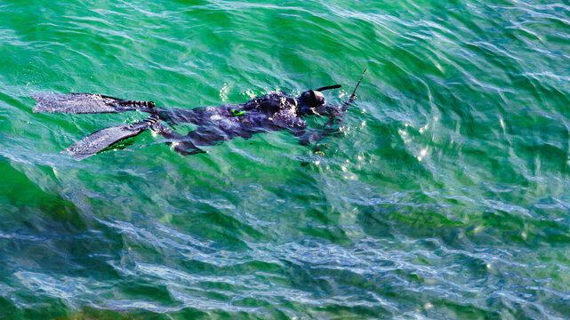 Person snorkeling in clear water. Enjoying the water activity