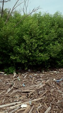 Plastic waste piled up in a forest. Highlighting the global waste crisis and environmental pollution. Waste separation, recycling, plastic reduction, climate change and sustainable living concept.
